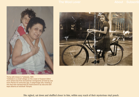 The Wool Lover