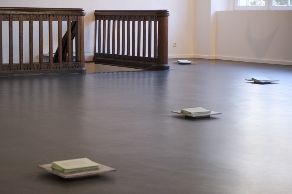 Reading Performance 2 and Talk with Nina Tabassomi