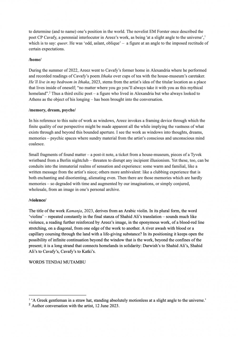 Some ribs are always soft Tendai Mutambu essay