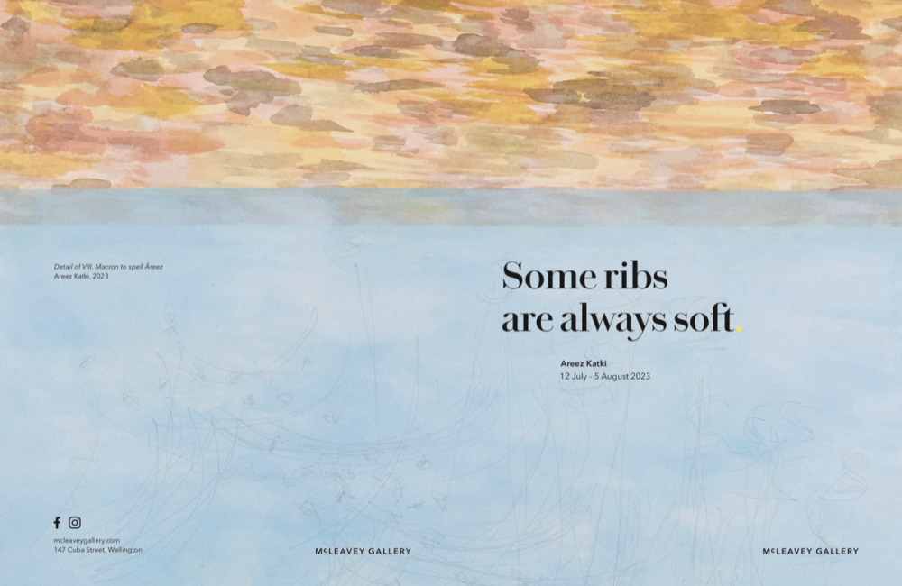 Some ribs are always soft Tendai Mutambu essay