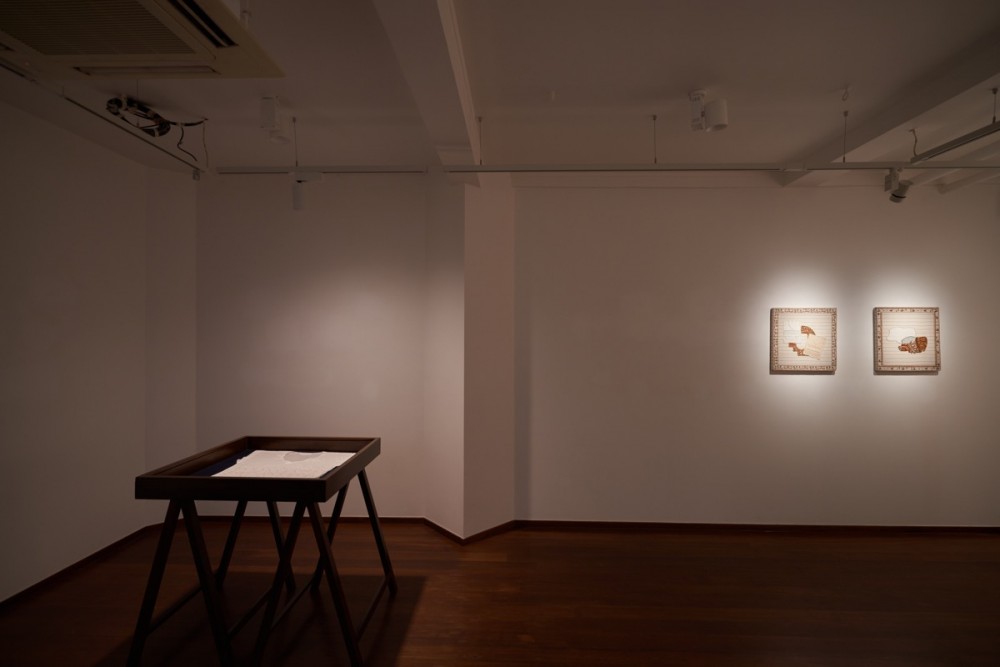 TARQ BILDUNGSROMAN INSTALL 2